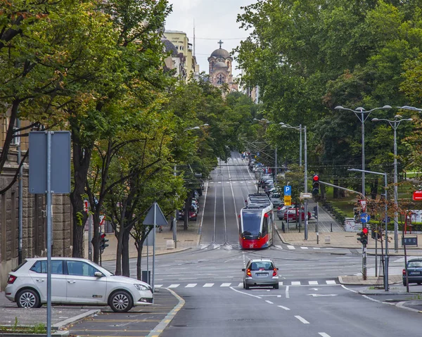 Belgrade Serbia Agosto 2019 Alberi Pittoreschi Sulla Strada Nella Parte — Foto Stock