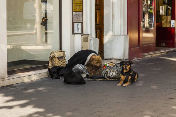 Nice Frankrijk Oktober 2019 Uitzicht Stad Dakloze Vrouw Met Hond — Stockfoto