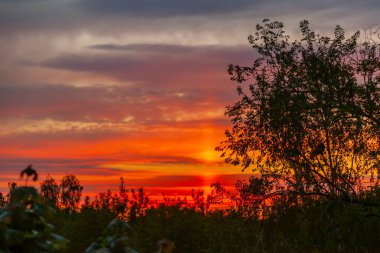 Gün batımında manzara
