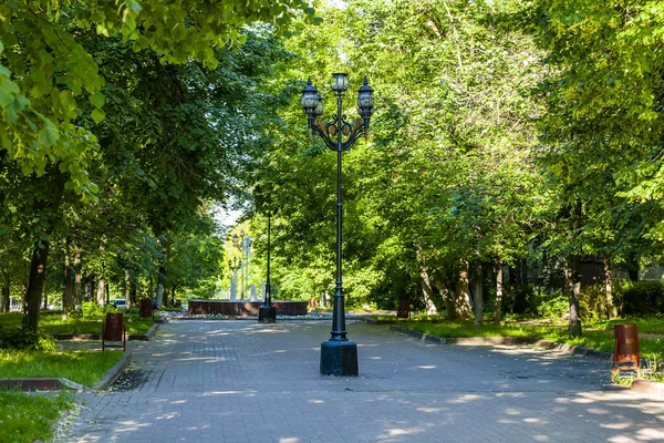Pushkino Russia June 2020 Urban View Summer Afternoon Trees Row — Stock Photo, Image