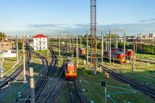 Petersburg Russland Juni 2020 Zahlreiche Güterwaggons Rangierbahnhof — Stockfoto