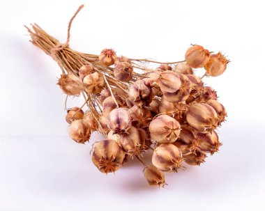 Masadaki kuru bitkiler.