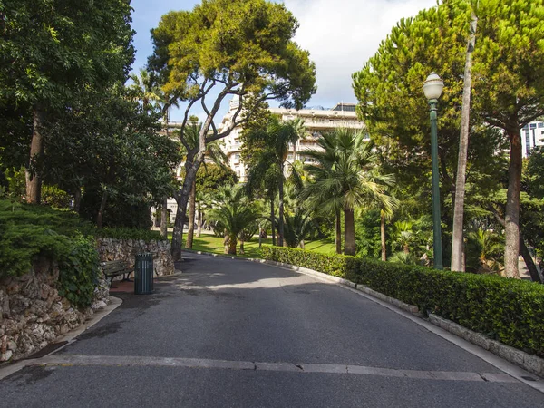 Монте Карло Монако Октября 2019 Года Красивая Аллея Экзотическом Саду — стоковое фото
