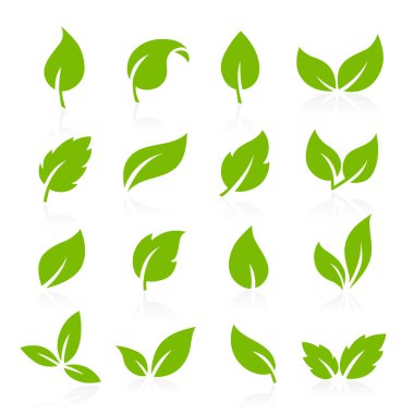 vektör ikonlar - yeşil yaprakları
