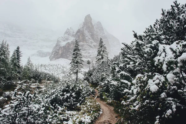 Vista Pitoresca Floresta Coberta Neve Caminho Entre Montanhas Prags Dolomites — Fotografia de Stock