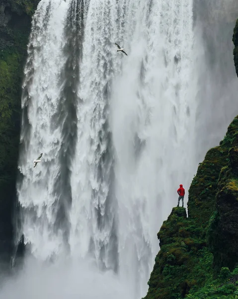 Man Red Coat Looking Breathtaking Icelandic Waterfall — Stock Photo, Image
