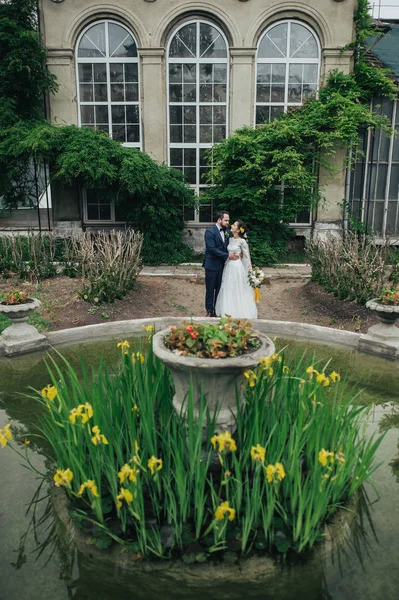 Güzel gelin ve şık damat evliliklerini kutluyor. — Stok fotoğraf