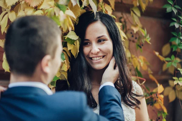 Fechar Vista Retrato Jovem Alegre Casal Recém Casado — Fotografia de Stock