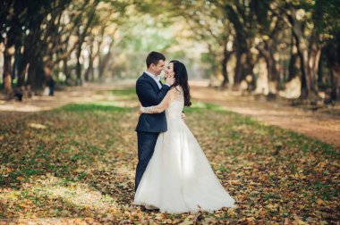 Neşeli gelin ve damat güneşli yeşil park ac poz