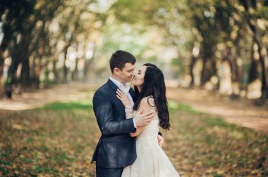 Neşeli gelin ve damat güneşli yeşil park ac poz