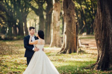 Neşeli gelin ve damat güneşli yeşil park ac poz