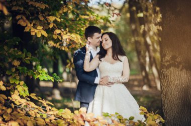 İhale yeni evli çift Altın Sonbahar parkı poz