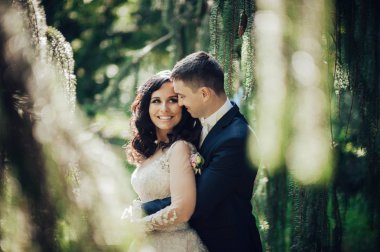 Yeşil ladin ormanında kucaklaşan genç gelin ve damat