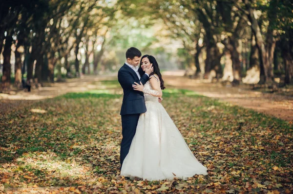 Vidám Menyasszony Vőlegény Pózol Napfényes Zöld Parkban — Stock Fotó