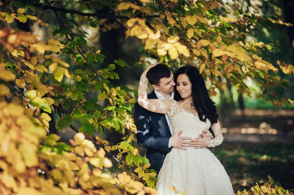 Glad Brud Och Brudgum Poserar Sunny Green Park — Stockfoto