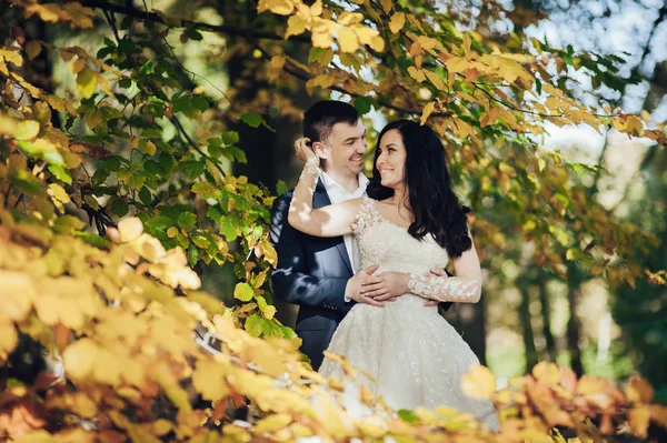 Pasangan Yang Baru Menikah Berpose Taman Musim Gugur Emas — Stok Foto