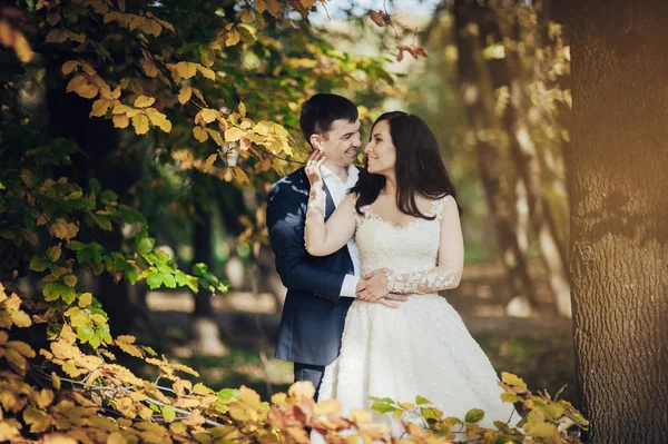 Веселая Невеста Жених Позируют Солнечном Зеленом Парке — стоковое фото