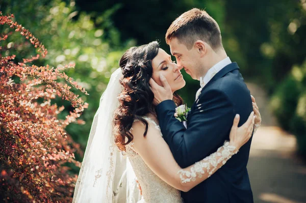 Cheerful Bride Groom Posing Sunny Green Park — Stock Photo, Image