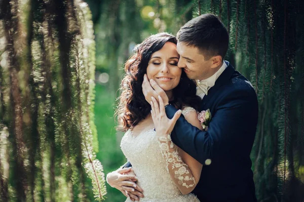 Yeşil Ladin Ormanında Kucaklaşan Genç Gelin Damat — Stok fotoğraf