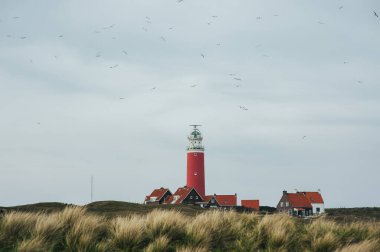 Hollanda 'daki Texel Adası' ndaki eski Red deniz fenerinin yatay görüntüsü. Kuşlar deniz fenerinin üzerinde uçar. Seyahat kavramı