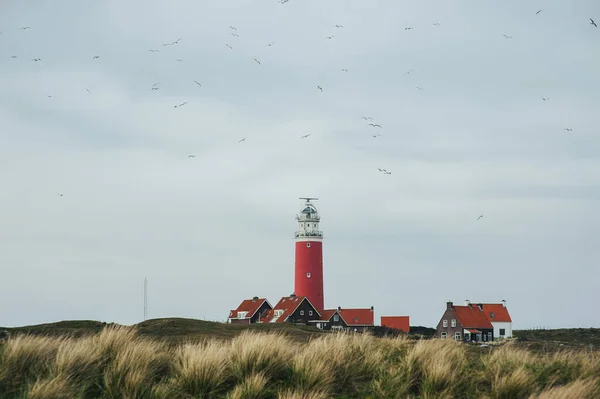Vista Horizontal Velho Farol Vermelho Ilha Texel Holanda Pássaros Voam — Fotografia de Stock