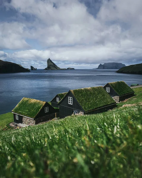 Black Wooden Houses Green Grass Roof Houses Ocean Overlooking Cliffs — Stockfoto