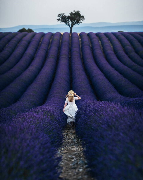 Young Beautiful Girl Hat Dress Purple Lavender Field Most Beautiful Stock Photo