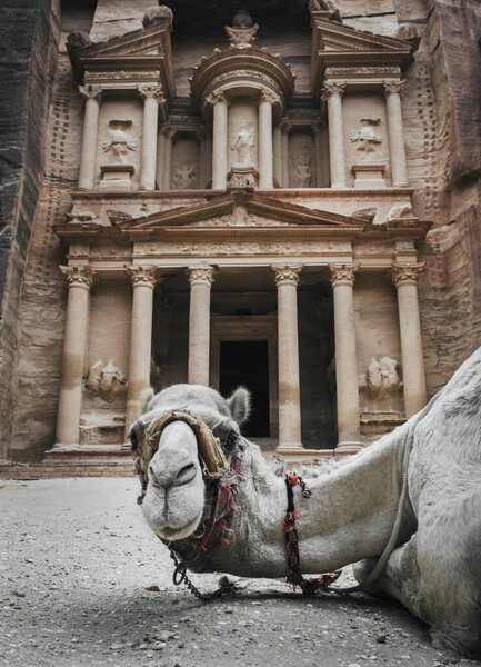 Best View Main Temple Khazneh Petra Jordan Night Petra Seven Stock Picture