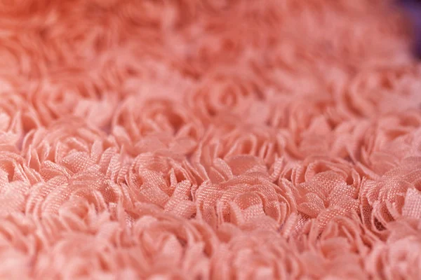 Peach Kleurige Rozen Materiaal Macro Foto — Stockfoto