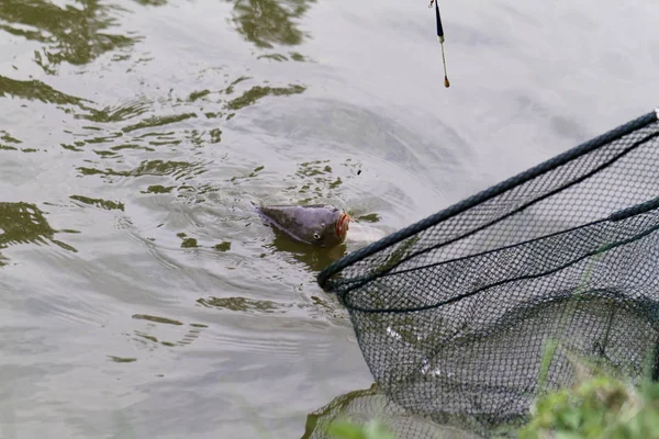 Pesca em um lago — Fotografia de Stock