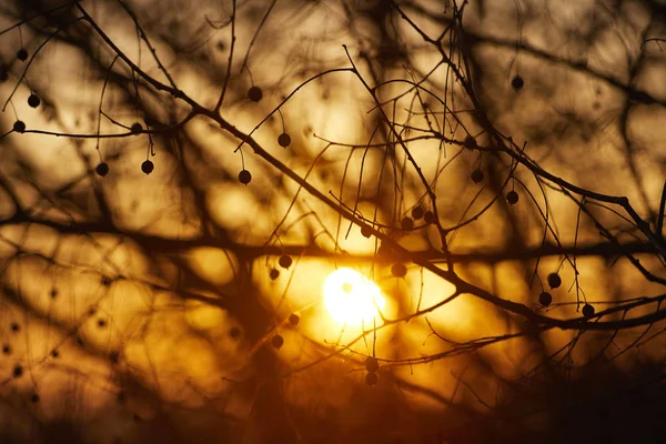 Dramatischer Sonnenuntergang - abstraktes Foto — Stockfoto