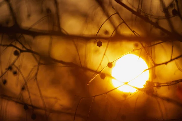 Cielo drammatico tramonto - foto astratta — Foto Stock