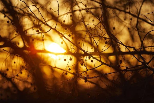 Cielo drammatico tramonto - foto astratta — Foto Stock