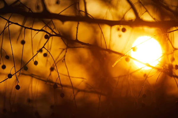 Cielo drammatico tramonto - foto astratta — Foto Stock