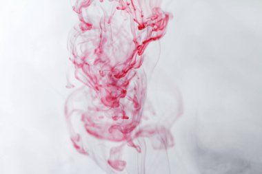 Çay poşetleri - makro fotoğraf