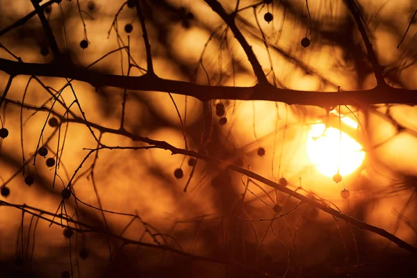 Cielo drammatico tramonto - foto astratta — Foto Stock