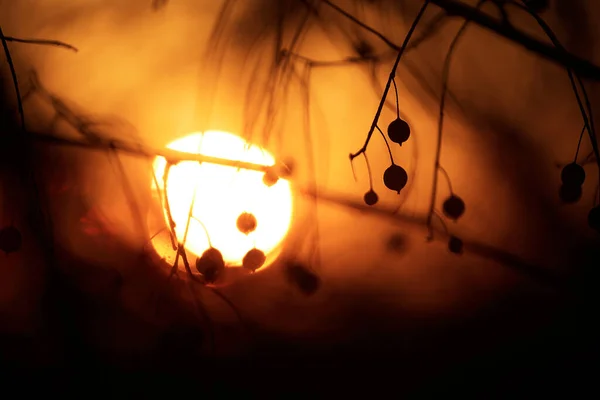 劇的な夕焼け空-アブストラクト写真 — ストック写真