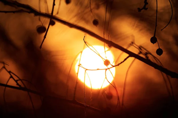 Dramatischer Sonnenuntergang - abstraktes Foto — Stockfoto