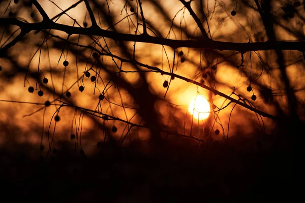 Dramatischer Sonnenuntergang - abstraktes Foto — Stockfoto