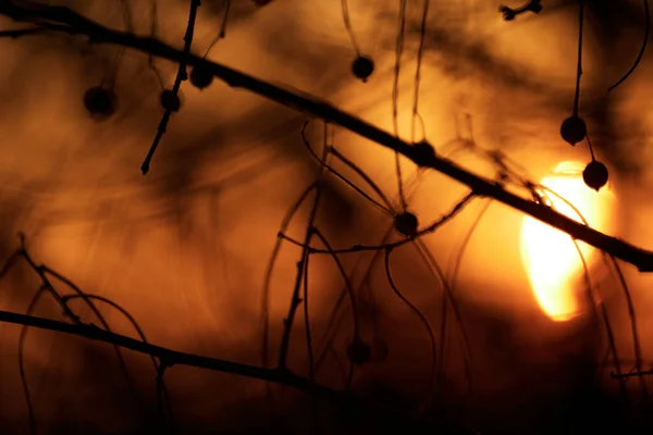 Драматичне небо заходу сонця - абстрактне фото — стокове фото