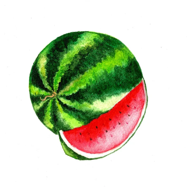 Akvarell Vattenmelon Illustration Isolerad Vit Bakgrund — Stockfoto