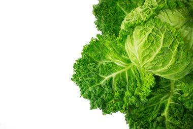 Beyaz arka planda avoy lahanası