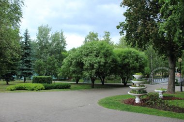 Parktaki ağaçlar ve çalılar, çiçek tarlaları.