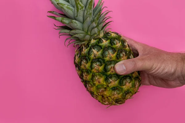 Ananasfrucht Der Hand Gehalten Auf Leuchtend Rosa Hintergrund Minimales Sommerfutterkonzept — Stockfoto
