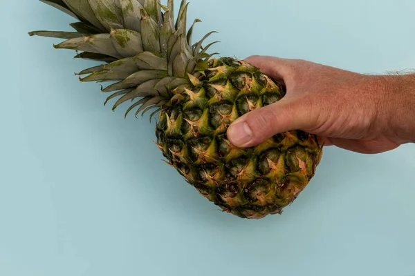 Ananasfrucht Der Hand Gehalten Auf Hellblauem Hintergrund — Stockfoto