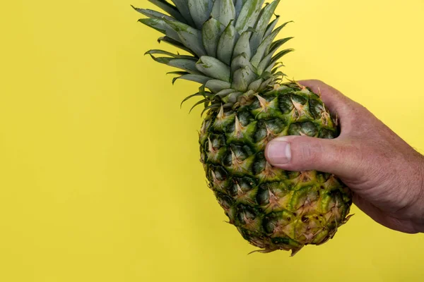 Ananasfrucht Der Hand Gehalten Auf Leuchtend Gelbem Hintergrund — Stockfoto