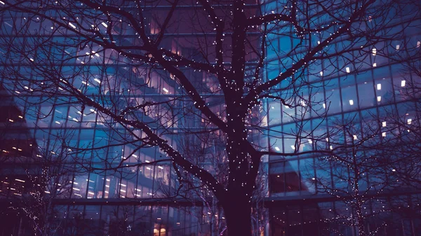 Árbol Navidad Luces Ciudad Londres Edificio Oficinas Negocios Por Noche —  Fotos de Stock