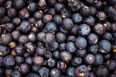 Ardıç çilek cin arka plan