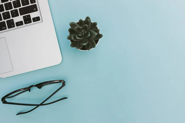 Laptop computer keyboard glasses plant top view on minimal blue — Stock Photo, Image