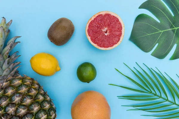 Tropisch fruit met planten bladeren ananas grapefruit minimale fo — Stockfoto